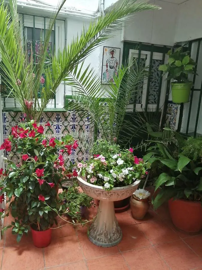 Guest house H Juan Hotel Marbella